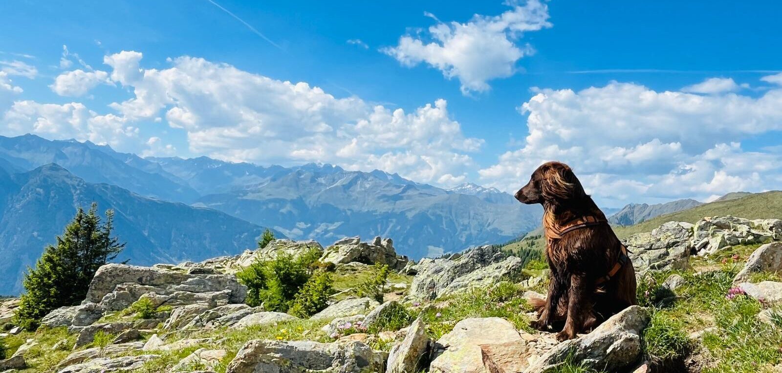 erfolg-auf-der-faehrte-seminar-fuer-jaegerinnen-mit-hund