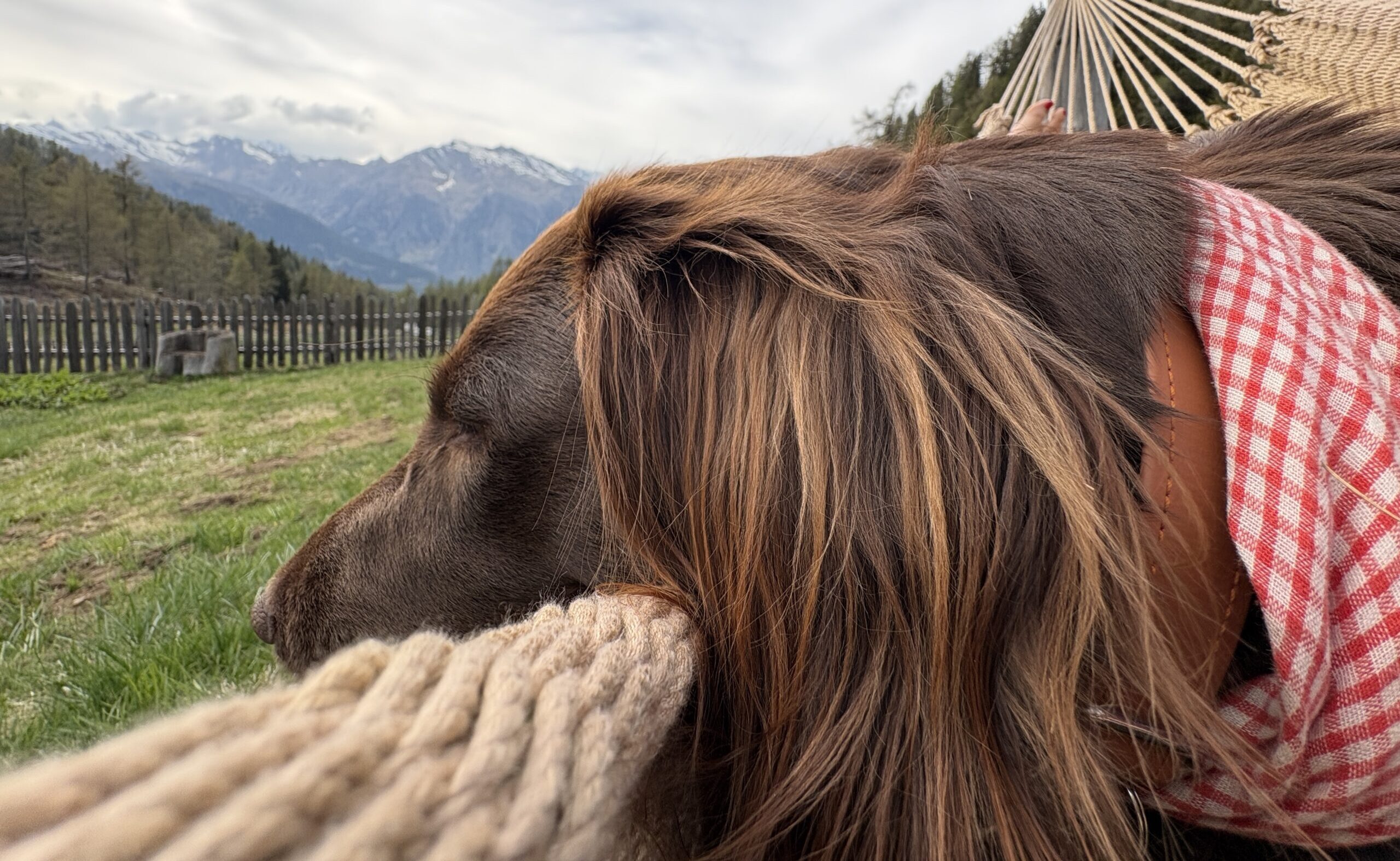 auf-der-alm-in-balance